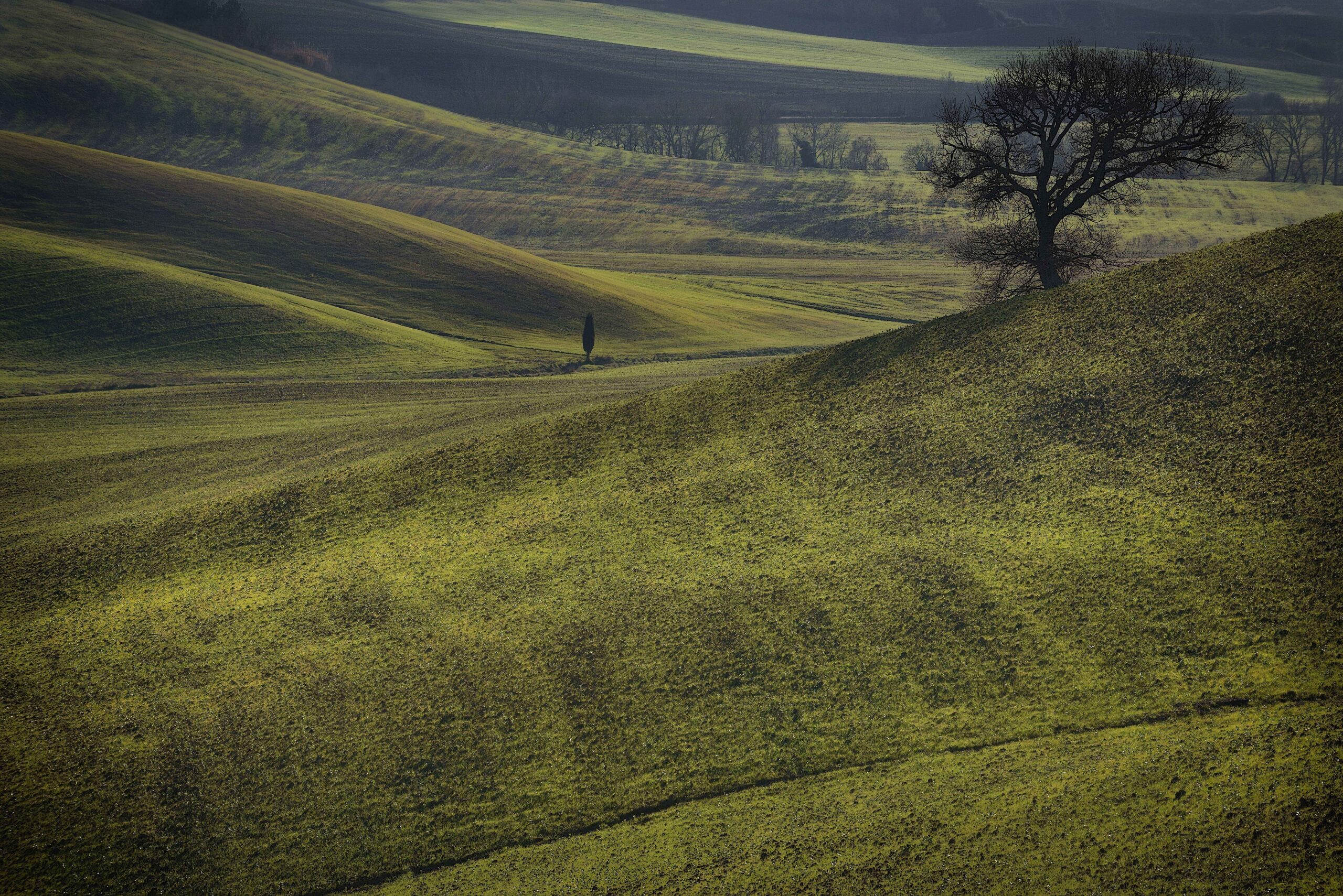 the sentinel